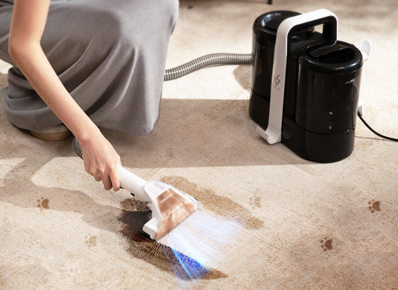 Person cleaning a carpet with a handheld cleaning tool and a vacuum cleaner on the side.