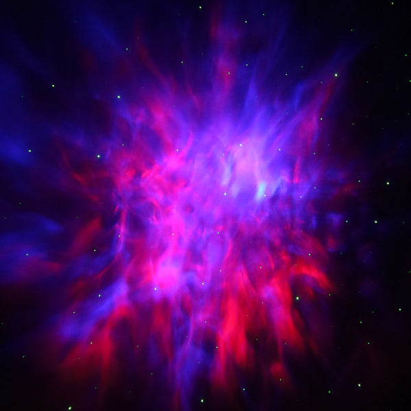 Red + Blue Light