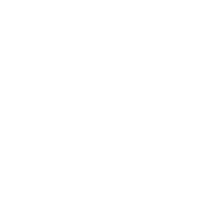 Swiftvein Logo White