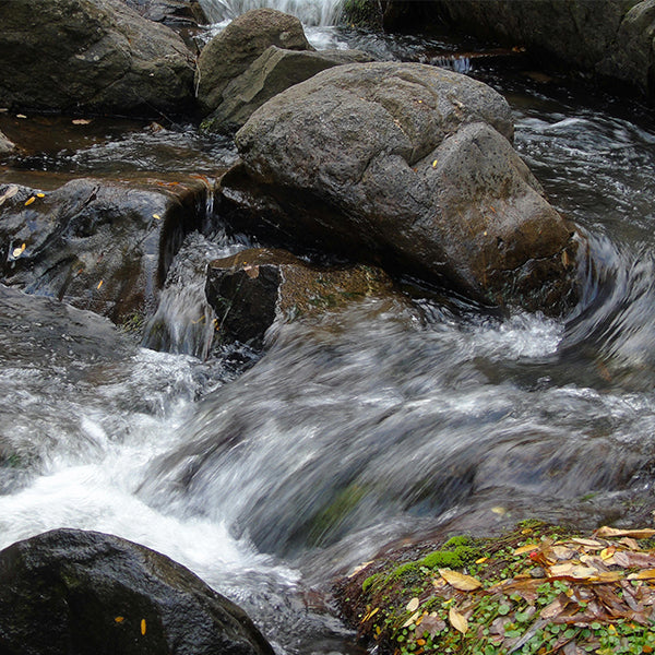 Babbling Brook