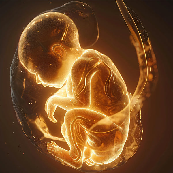 Fetal Sounds