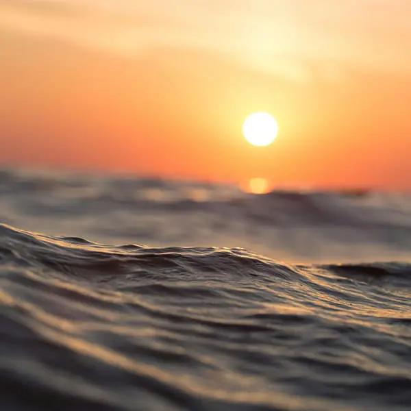 Waves